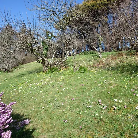 Little Foxes Holiday home Perranporth